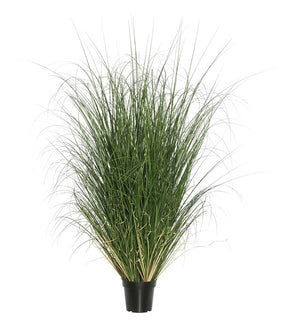 Product Image: TN170660 Decor/Faux Florals/Plants & Trees