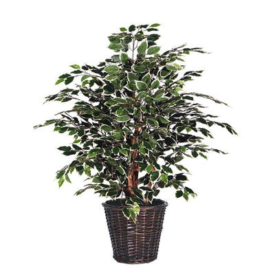 TXX0240 Decor/Faux Florals/Plants & Trees