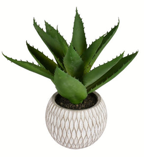 Product Image: FA192604 Decor/Faux Florals/Plants & Trees