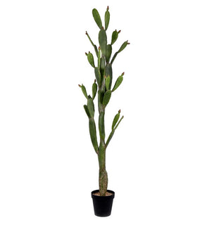 Product Image: FE191480 Decor/Faux Florals/Plants & Trees