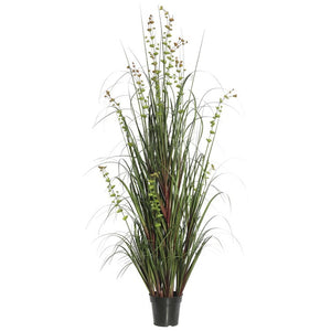 TN170260 Decor/Faux Florals/Plants & Trees