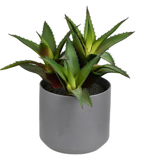 Product Image: FH191010 Decor/Faux Florals/Plants & Trees