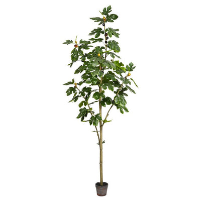 TB180484 Decor/Faux Florals/Plants & Trees