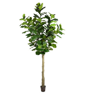 Product Image: TB180299 Decor/Faux Florals/Plants & Trees