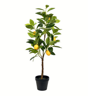 Product Image: TA190128 Decor/Faux Florals/Plants & Trees