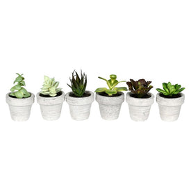 4" Artificial Assorted Potted Succulents Set of 6