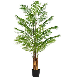 Product Image: TB190780 Decor/Faux Florals/Plants & Trees