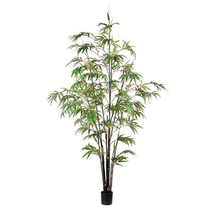 TB190160 Decor/Faux Florals/Plants & Trees