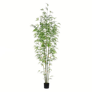 TB190470 Decor/Faux Florals/Plants & Trees