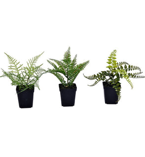 Product Image: FE192106 Decor/Faux Florals/Plants & Trees