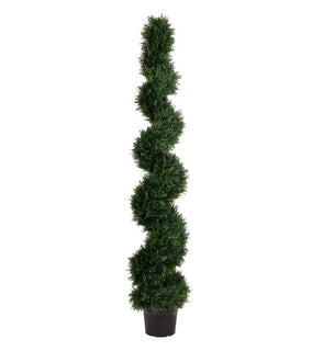 Product Image: TP170572 Decor/Faux Florals/Plants & Trees