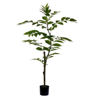Product Image: TB170848 Decor/Faux Florals/Plants & Trees