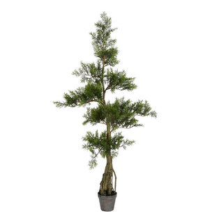 Product Image: TB180148 Decor/Faux Florals/Plants & Trees