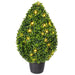 TP171524LED Decor/Faux Florals/Plants & Trees