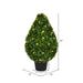 TP171524LED Decor/Faux Florals/Plants & Trees