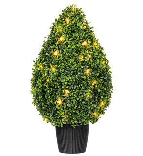 Product Image: TP171524LED Decor/Faux Florals/Plants & Trees