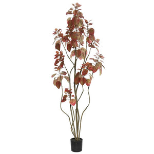 TB170260 Decor/Faux Florals/Plants & Trees