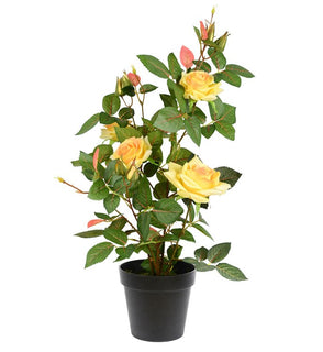 Product Image: TA181701 Decor/Faux Florals/Plants & Trees