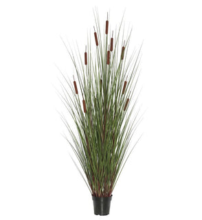 Product Image: TN170360 Decor/Faux Florals/Plants & Trees