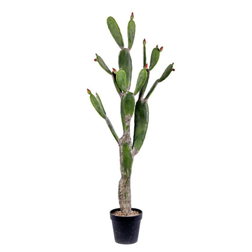 57" Artificial Green Cactus in Black Plastic Planter's Pot