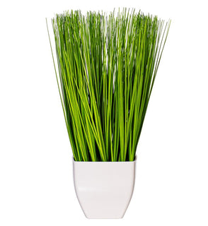 Product Image: FV190216 Decor/Faux Florals/Plants & Trees
