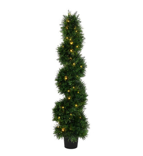 Product Image: TP170548LED Decor/Faux Florals/Plants & Trees