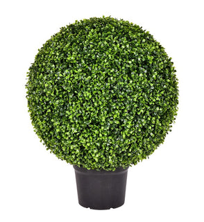 Product Image: TP171324 Decor/Faux Florals/Plants & Trees