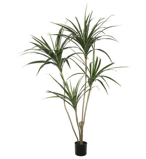 Product Image: TB170548 Decor/Faux Florals/Plants & Trees