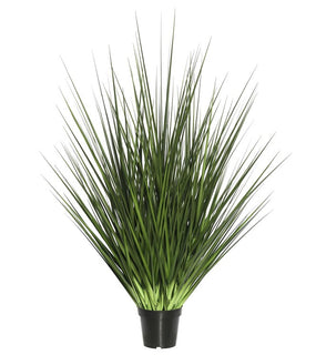 Product Image: TN170524 Decor/Faux Florals/Plants & Trees