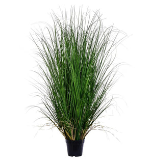 Product Image: TN170648 Decor/Faux Florals/Plants & Trees