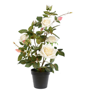 Product Image: TA181711 Decor/Faux Florals/Plants & Trees