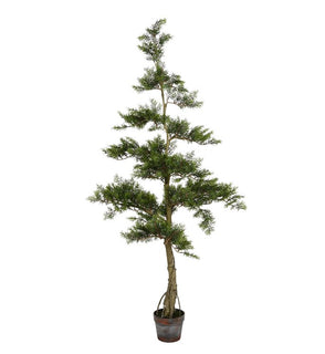 Product Image: TB180160 Decor/Faux Florals/Plants & Trees