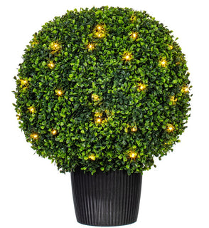 Product Image: TP171320LED Decor/Faux Florals/Plants & Trees