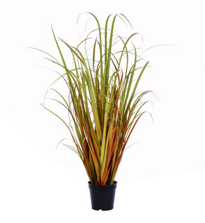 Product Image: TN170836 Decor/Faux Florals/Plants & Trees