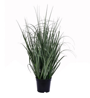 Product Image: TN170124 Decor/Faux Florals/Plants & Trees