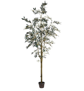 Product Image: TB180596 Decor/Faux Florals/Plants & Trees