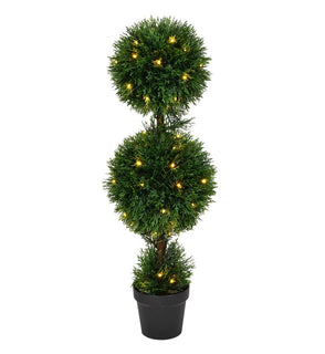 Product Image: TP170836LED Decor/Faux Florals/Plants & Trees