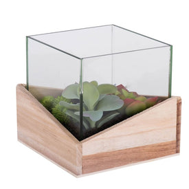 6" Artificial Green Assorted Succulents in Wood Container and Glass Top