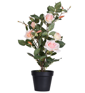 Product Image: TA181779 Decor/Faux Florals/Plants & Trees