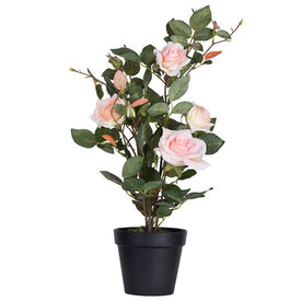 Vickerman 21" Artificial Pink Rose Plant in Pot.