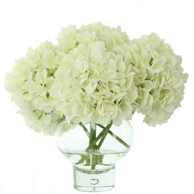 14" Artificial White Hydrangea Arrangement in Glass Vase with Acrylic Water