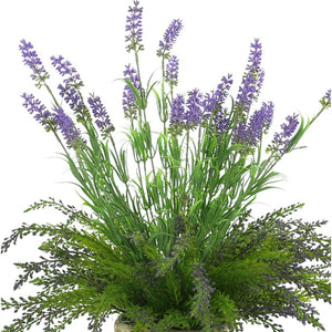 CDFL6552 Decor/Faux Florals/Floral Arrangements