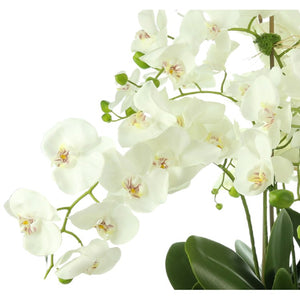 CDFL6534 Decor/Faux Florals/Floral Arrangements
