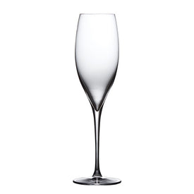 Terroir Champagne Glasses Set of 2