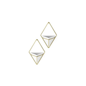 Trigg Wall Displays Set of 2