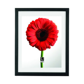 11" x 14" Document Frame