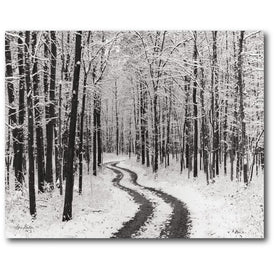Snowy Country Road Gallery-Wrapped Canvas Wall Art