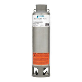 Water End Pump GS 10 GPM 1/2 HP 60 HZ