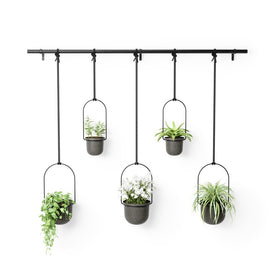 Triflora Hanging Planters Set of 5