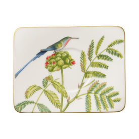 Amazonia Tea Saucer